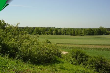 Zdjęcie Widok z Winnicy na dolinę Warty _004_004_547