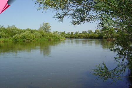 Zdjęcie Zakole rzeki Warta w okolicach Siemiechowa _004_004_550