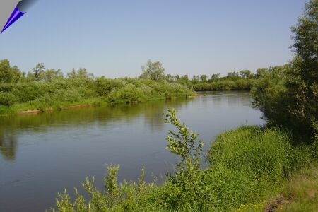Zdjęcie Rzeka Warta w okolicach Siemiechowa _004_004_554