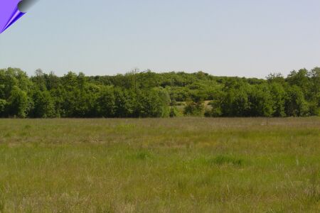 Zdjęcie Widok z doliny Warty na Winnicę _004_004_548