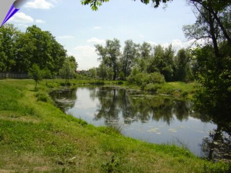 Zdjęcie Widok na rzekę Nieciecz w Widawie _004_004_556